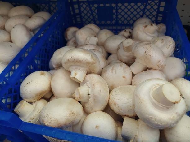 istock champignons in boxes at the vegetable market 1366467948
