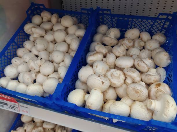 istock champignons in boxes at the vegetable market 1366467951