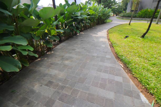 istock Pathway with concrete paving bricks in a shopping center park in Bandung 1366470473