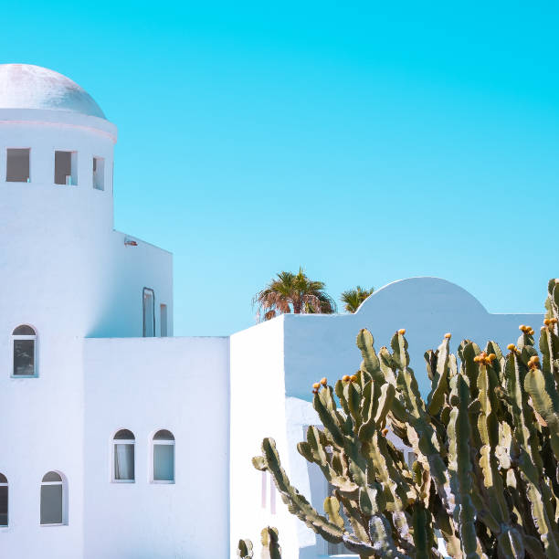 istock Stylish tropical location. Cactus and typical Canarian architecture. Travel concept 1366470626