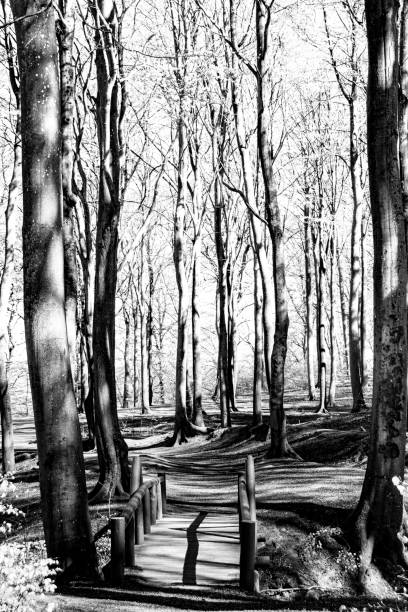 A path through nature that can be a state of mind and a path to walk