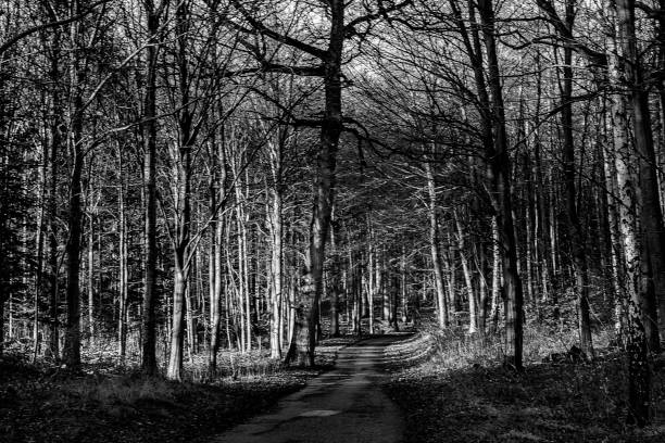 istock Ways to go in mind and in nature, black/white 1366471082
