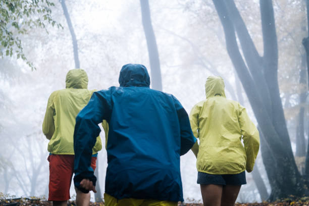 istock Trail runners run through forest on rainy day 1366472454
