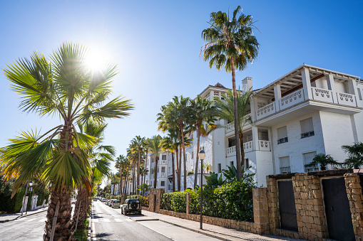 Marbella streets with tropical palm trees white mediterranean facades in Malaga province of Andalusian Spain