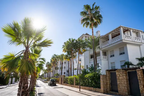 Photo of Marbella streets with tropical palm trees white mediterranean fa