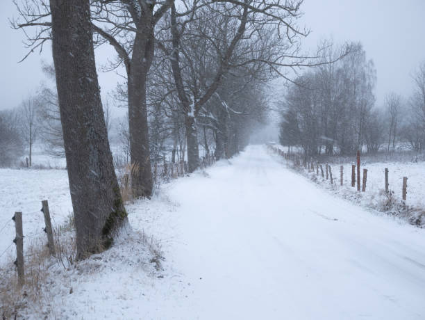 istock Dangerous mountain asphalt road during heavy snowfall 1366478695