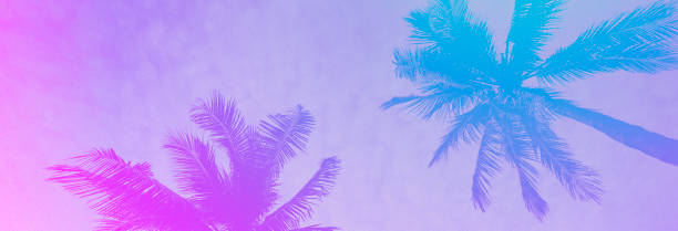 istock Colorful pop style  palm trees with color gradient banner  . 1366480319