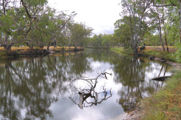 istock Horsham,  Victoria, Australia 1366481333