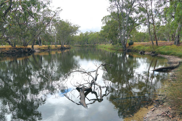istock Horsham,  Victoria, Australia 1366481375