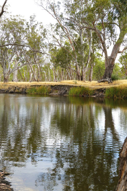 istock Horsham,  Victoria, Australia 1366481376