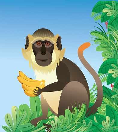 Free download of green monkey vector graphics and illustrations