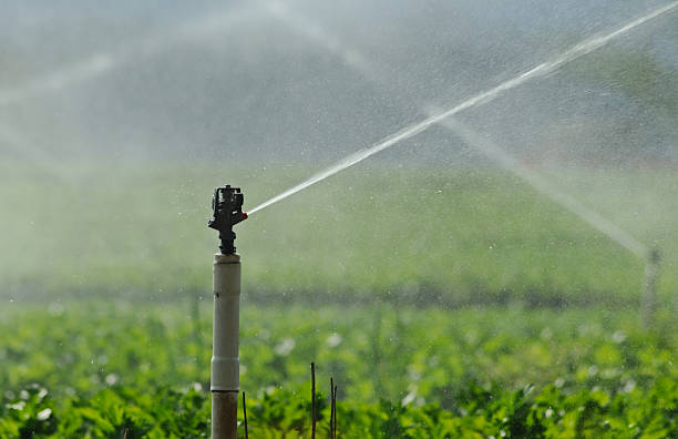 istock Crossing spurts of sprinklers 136648475