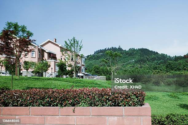 Albero Nel Villaggio - Fotografie stock e altre immagini di Albero - Albero, Ambientazione tranquilla, Andare a cavallo