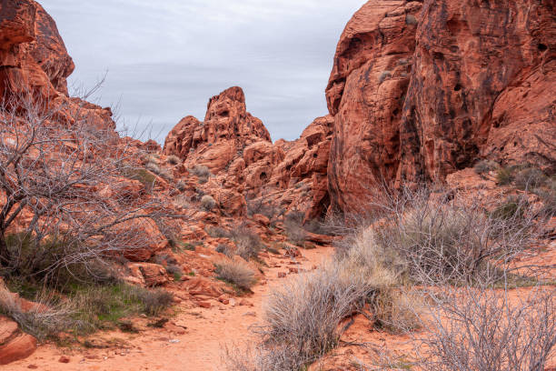 istock Sandy path meanders in red rock canyon, Valley of Fire, Nevada, USA 1366485457