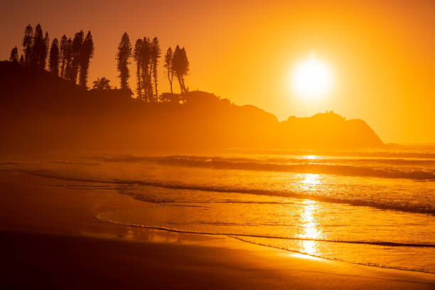 Colorful sunrise on ocean with waves and rocks with trees. Joaquina beach in Brazil Colorful sunrise on ocean with waves and rocks with trees. Joaquina beach in Brazil joaquina beach in florianopolis santa catarina brazil stock pictures, royalty-free photos & images