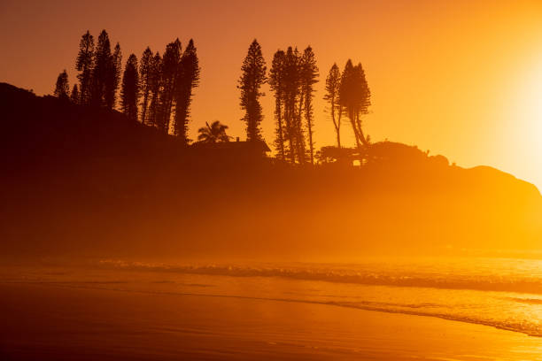 Bright sunrise on ocean with waves and rocks with trees. Joaquina beach in Brazil Bright sunrise on ocean with waves and rocks with trees. Joaquina beach in Brazil joaquina beach in florianopolis santa catarina brazil stock pictures, royalty-free photos & images