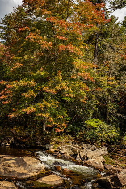 istock Linville Falls State Park North Carolina 1366488807