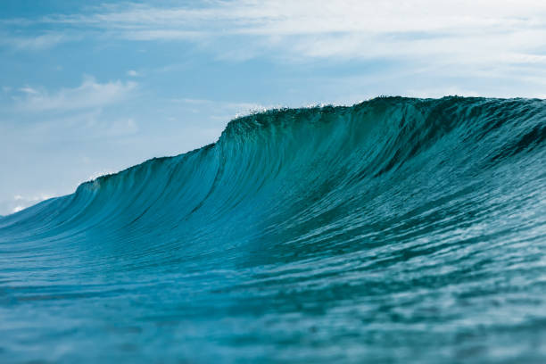 istock Ideal glassy wave in Atlantic ocean. Turquoise wave in Brazil 1366488834