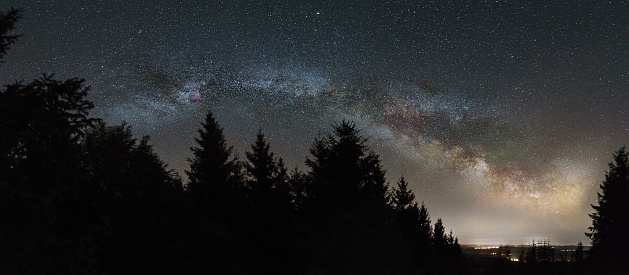 Panorama of the Milky Way over pine trees in the middle of a forest