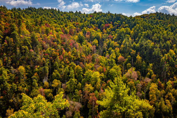 Linville Falls is the most famous and popular waterfall in the Blue Ridge Mountains owing largely to its proximity to the Blue Ridge Parkway.