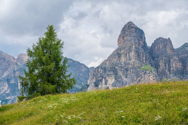 istock Pralongia Plateau in the Dolomites 1366489586