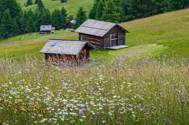 istock Pralongia Plateau in the Dolomites 1366489724