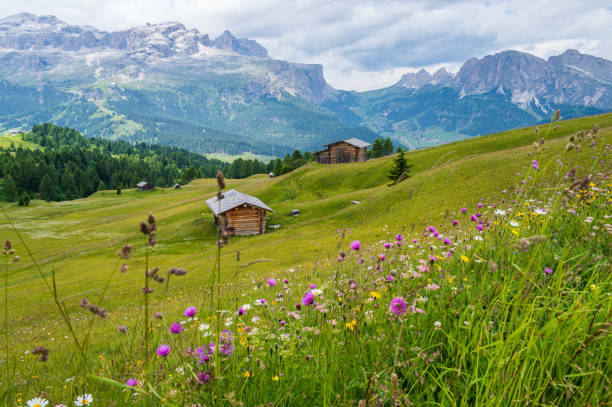 istock Pralongia Plateau in the Dolomites 1366489800