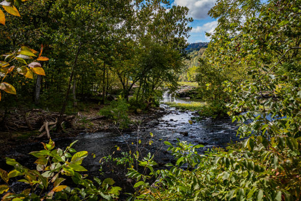 sandstone falls new river gorge national park and preserve - rapid appalachian mountains autumn water imagens e fotografias de stock