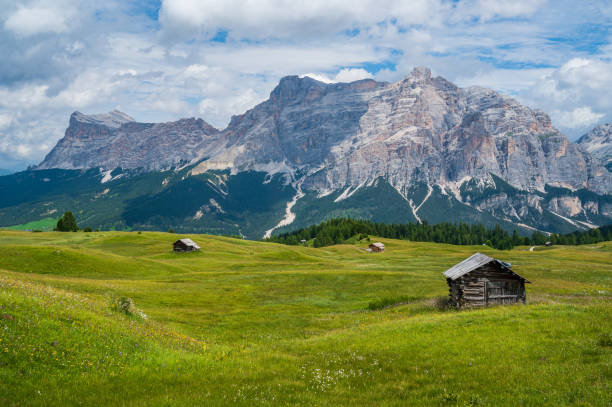 istock Pralongia Plateau in the Dolomites 1366489942
