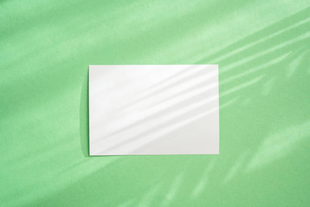 istock Shadows from the leaves on green background 1366496060