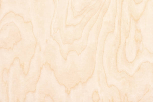 istock abstract background with natural wood texture. light wooden plank 1366496984