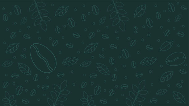 vektorillustrator von kaffeebaumzweigen mit blüten-, blatt- und bohnenhintergrund mit kopierraum. dekorative gestaltung für banner, plakatwerbung, flyer und karte. abstrakte kreative hintergründe. - tea food tea crop pattern stock-grafiken, -clipart, -cartoons und -symbole