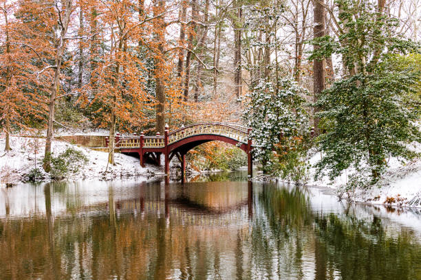 istock Crim Dell Bridge Reflected in the Crim Dell 1366500614