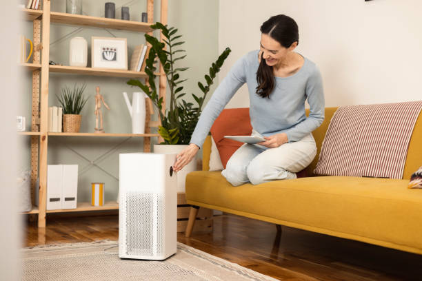 istock Happy woman turning on her new air purifier using a tablet 1366500810