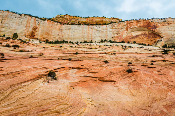 Sandstone layers in Zion National Park, Utah.