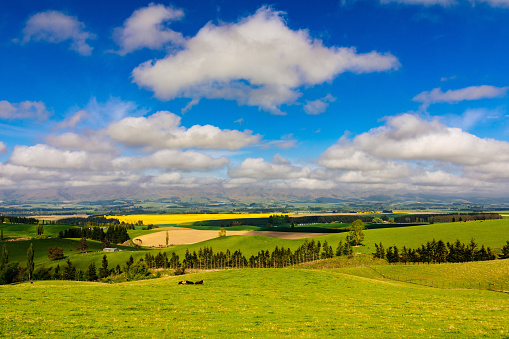 This October 2021 photo shows the town of Fairlie as viewed from Allandale in Aotearoa New Zealand. The landscape is filled with numerous farms amid the rolling hills. Cows are seeing resting in wide open grassy areas. Shadows are cast by low clouds floating through the valley. This photo was taken at a viewpoint along SH 79, the Geraldine - Fairlie Highway.
