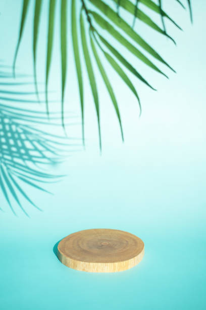 istock The platform for the photoshoot 1366504911