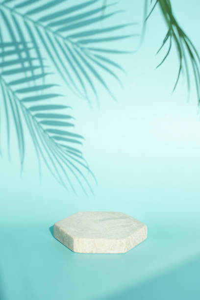 istock The platform for the photoshoot 1366504914