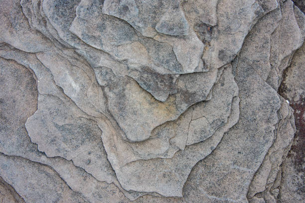istock Rock texture and surface background. Cracked natural stone background 1366506598