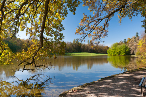Pond in the famous autumn park