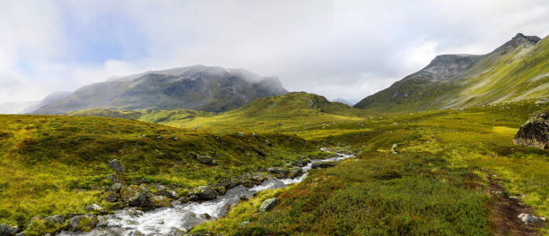 istock Peaceful stream flowing through a green mountain landscape 1366509127