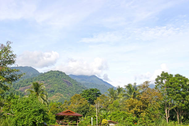 istock Forested mountains with small hut in the trees 1366510888