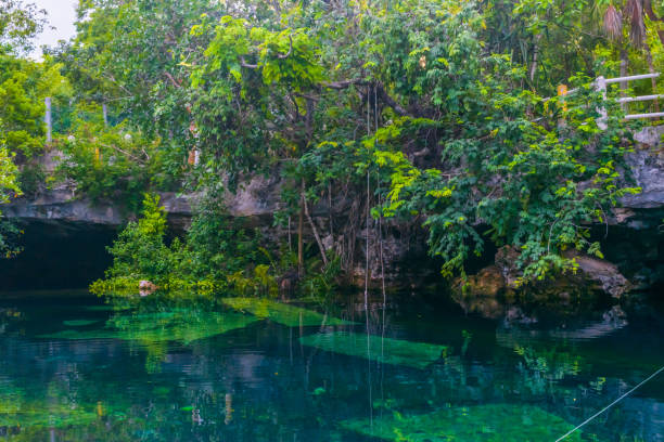 istock Beautiful clear water cenote in Mexico 1366511840