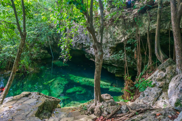 istock Beautiful clear water cenote in Mexico 1366511886