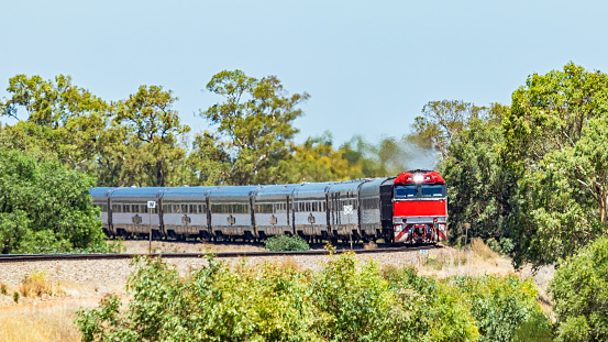 Australian Overland Luxury Passenger Train rounds curve at speed in summer heat: bright red diesel locomotive leading experiential tourist train. ID & logos edited
