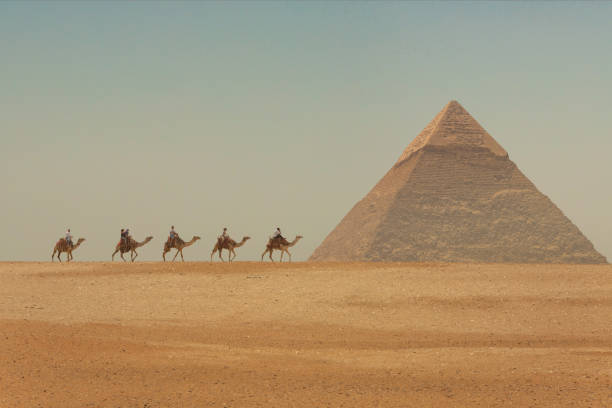 touristen reiten auf kamelen vor den großen pyramiden ägyptens - gizeh stock-fotos und bilder