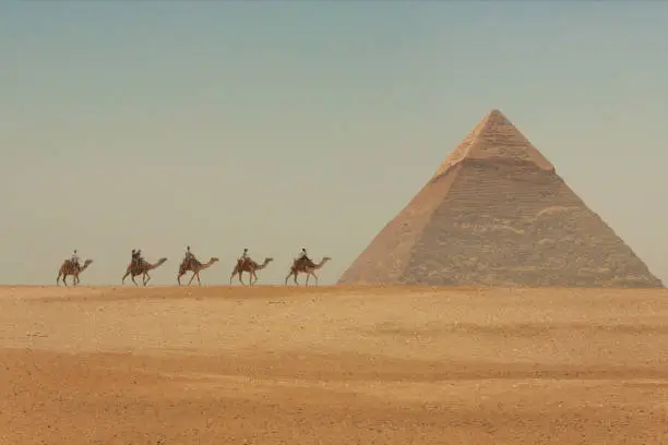 A group of tourists riding camels and passing in front of the Great Pyramids of Giza - Egypt