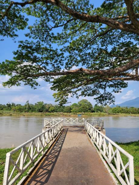istock Board walk with river view in Kuala Kangsar town, Perak, Malaysia. 1366515413