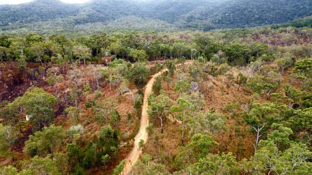 istock Drone of inland landscape 1366515995