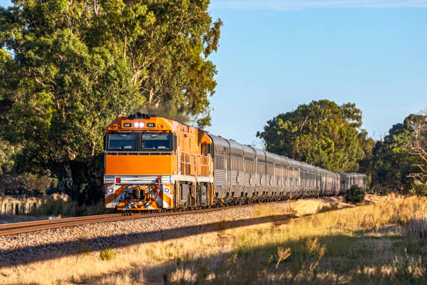istock Overland Luxury Passenger Train passing through tree-lined rural agricultural land in early morning light 1366516785